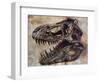 Tyrannosaurus Rex Dinosaur Skull-Stocktrek Images-Framed Art Print