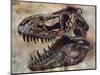 Tyrannosaurus Rex Dinosaur Skull-Stocktrek Images-Mounted Art Print