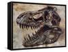 Tyrannosaurus Rex Dinosaur Skull-Stocktrek Images-Framed Stretched Canvas