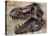 Tyrannosaurus Rex Dinosaur Skull-Stocktrek Images-Stretched Canvas