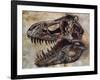 Tyrannosaurus Rex Dinosaur Skull-Stocktrek Images-Framed Art Print