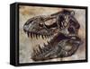 Tyrannosaurus Rex Dinosaur Skull-Stocktrek Images-Framed Stretched Canvas