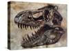 Tyrannosaurus Rex Dinosaur Skull-Stocktrek Images-Stretched Canvas