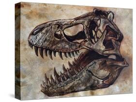 Tyrannosaurus Rex Dinosaur Skull-Stocktrek Images-Stretched Canvas