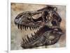 Tyrannosaurus Rex Dinosaur Skull-Stocktrek Images-Framed Art Print