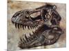 Tyrannosaurus Rex Dinosaur Skull-Stocktrek Images-Mounted Art Print