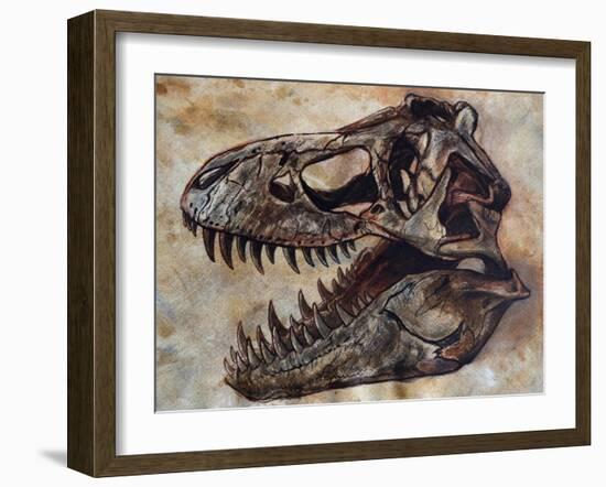 Tyrannosaurus Rex Dinosaur Skull-Stocktrek Images-Framed Art Print
