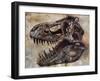 Tyrannosaurus Rex Dinosaur Skull-Stocktrek Images-Framed Art Print