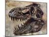Tyrannosaurus Rex Dinosaur Skull-Stocktrek Images-Mounted Art Print