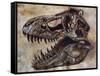 Tyrannosaurus Rex Dinosaur Skull-Stocktrek Images-Framed Stretched Canvas