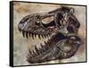 Tyrannosaurus Rex Dinosaur Skull-Stocktrek Images-Framed Stretched Canvas