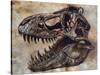 Tyrannosaurus Rex Dinosaur Skull-Stocktrek Images-Stretched Canvas