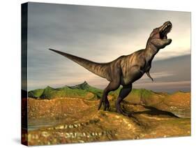 Tyrannosaurus Rex Dinosaur Walking in Desert Landscape-null-Stretched Canvas