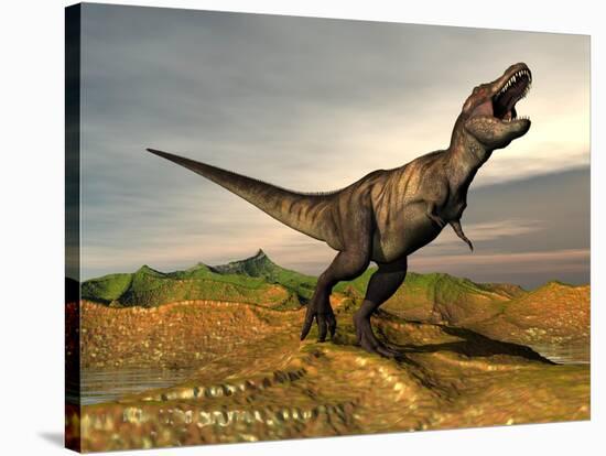 Tyrannosaurus Rex Dinosaur Walking in Desert Landscape-null-Stretched Canvas