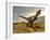 Tyrannosaurus Rex Dinosaur Walking in Desert Landscape-null-Framed Art Print