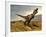 Tyrannosaurus Rex Dinosaur Walking in Desert Landscape-null-Framed Art Print