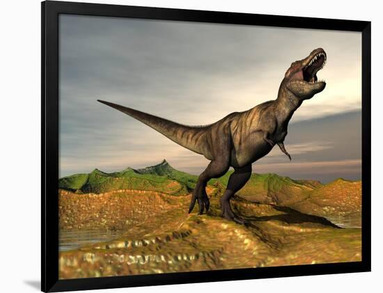 Tyrannosaurus Rex Dinosaur Walking in Desert Landscape-null-Framed Art Print