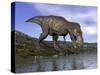 Tyrannosaurus Rex Dinosaur Walking to the Edge of Water-null-Stretched Canvas