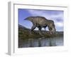 Tyrannosaurus Rex Dinosaur Walking to the Edge of Water-null-Framed Art Print