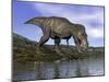 Tyrannosaurus Rex Dinosaur Walking to the Edge of Water-null-Mounted Art Print