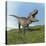 Tyrannosaurus Rex Dinosaur-null-Stretched Canvas
