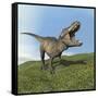 Tyrannosaurus Rex Dinosaur-null-Framed Stretched Canvas