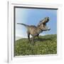 Tyrannosaurus Rex Dinosaur-null-Framed Art Print