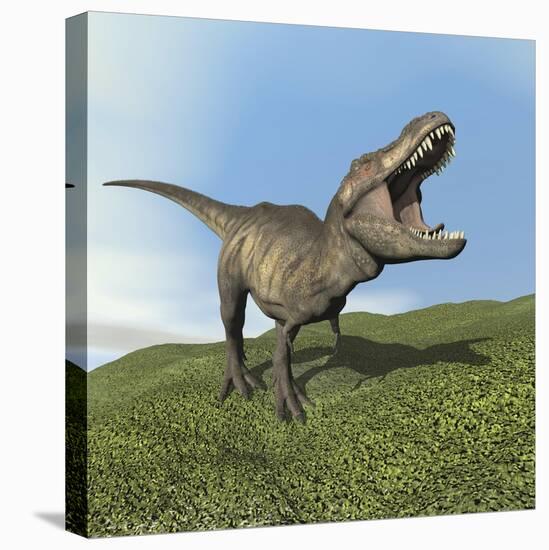 Tyrannosaurus Rex Dinosaur-null-Stretched Canvas