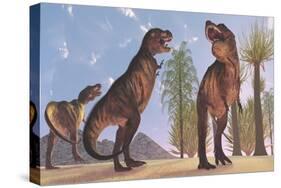 Tyrannosaurus Rex Dinosaurs Have a Growling Session-Stocktrek Images-Stretched Canvas