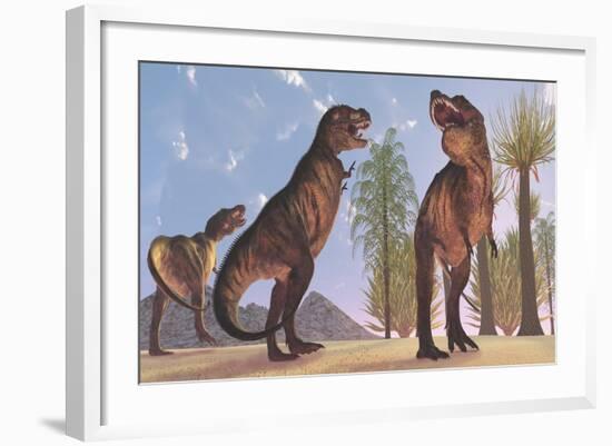 Tyrannosaurus Rex Dinosaurs Have a Growling Session-Stocktrek Images-Framed Art Print
