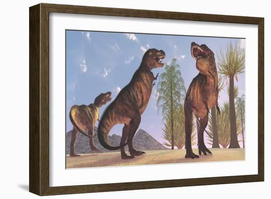 Tyrannosaurus Rex Dinosaurs Have a Growling Session-Stocktrek Images-Framed Art Print