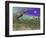 Tyrannosaurus Rex Dinosaurs in Prehistoric Landscape at Night-null-Framed Art Print