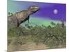 Tyrannosaurus Rex Dinosaurs in Prehistoric Landscape at Night-null-Mounted Art Print