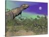 Tyrannosaurus Rex Dinosaurs in Prehistoric Landscape at Night-null-Stretched Canvas