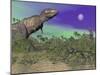 Tyrannosaurus Rex Dinosaurs in Prehistoric Landscape at Night-null-Mounted Art Print