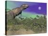 Tyrannosaurus Rex Dinosaurs in Prehistoric Landscape at Night-null-Stretched Canvas