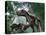 Tyrannosaurus Rex Dinosaurs-Jose Antonio-Stretched Canvas