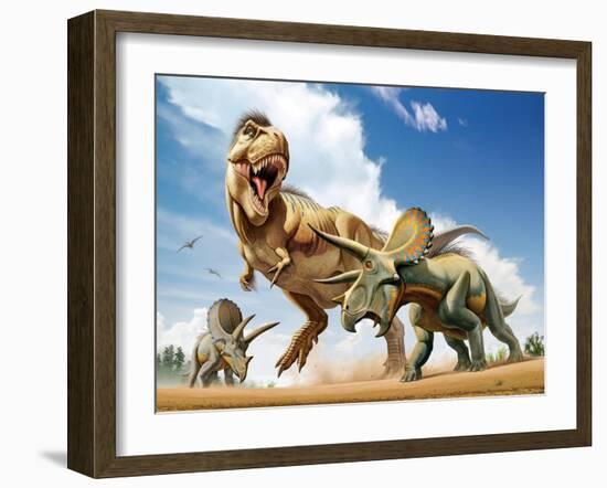 Tyrannosaurus Rex Fighting with Two Triceratops-null-Framed Art Print