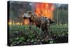 Tyrannosaurus Rex Fleeing from a Deadly Forest Fire-null-Stretched Canvas