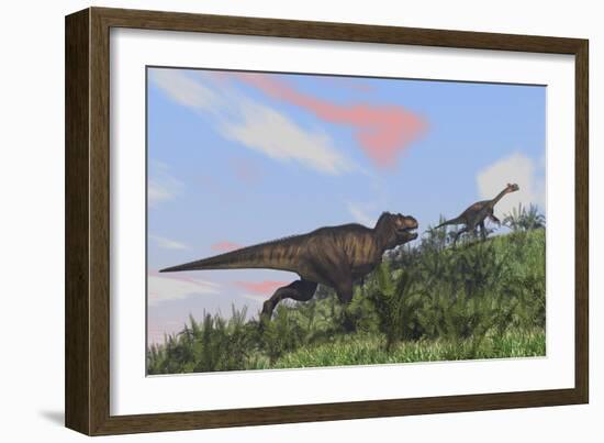 Tyrannosaurus Rex Hunting a Gigantoraptor in an Open Field-null-Framed Art Print