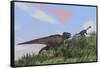 Tyrannosaurus Rex Hunting a Gigantoraptor in an Open Field-null-Framed Stretched Canvas