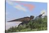 Tyrannosaurus Rex Hunting a Gigantoraptor in an Open Field-null-Stretched Canvas