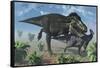 Tyrannosaurus Rex Hunting a Lone Parasaurolophus Duckbill Dinosaur-null-Framed Stretched Canvas