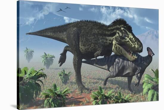 Tyrannosaurus Rex Hunting a Lone Parasaurolophus Duckbill Dinosaur-null-Stretched Canvas
