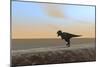 Tyrannosaurus Rex Hunting Along the Shoreline-null-Mounted Art Print