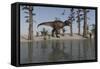 Tyrannosaurus Rex Hunting for its Next Meal Along the Water's Edge-null-Framed Stretched Canvas