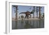 Tyrannosaurus Rex Hunting for its Next Meal Along the Water's Edge-null-Framed Art Print