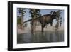 Tyrannosaurus Rex Hunting for its Next Meal in Shallow Water-null-Framed Art Print