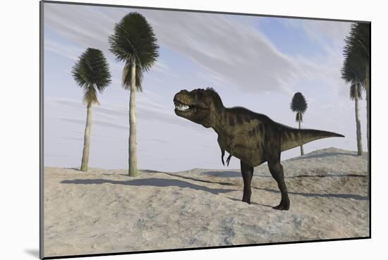 Tyrannosaurus Rex Hunting for its Next Meal-null-Mounted Art Print