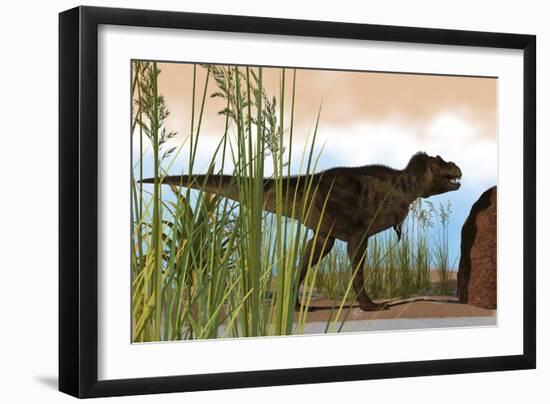 Tyrannosaurus Rex Hunting for its Next Meal-null-Framed Art Print